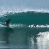 bali24