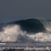 bali31