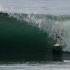 bali55
