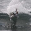 bali49