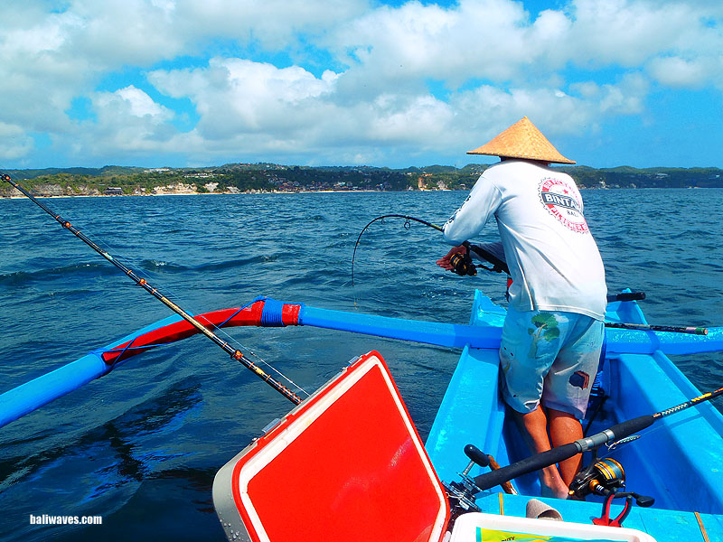 Bali Sport Fishing Scene, 29th August 2013 (Ketut 0 Slim 3)